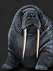 flow.darkswords.ru_darkswords_avatars_1077.jpg