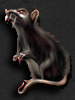 flow.darkswords.ru_darkswords_avatars_121.jpg