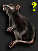 flow.darkswords.ru_darkswords_avatars_1282.jpg