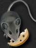 flow.darkswords.ru_darkswords_avatars_25.jpg