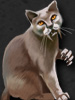 flow.darkswords.ru_darkswords_avatars_26.jpg