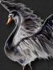 flow.darkswords.ru_darkswords_avatars_3815.jpg